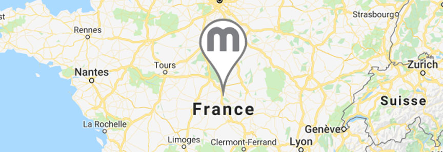 google map mobile